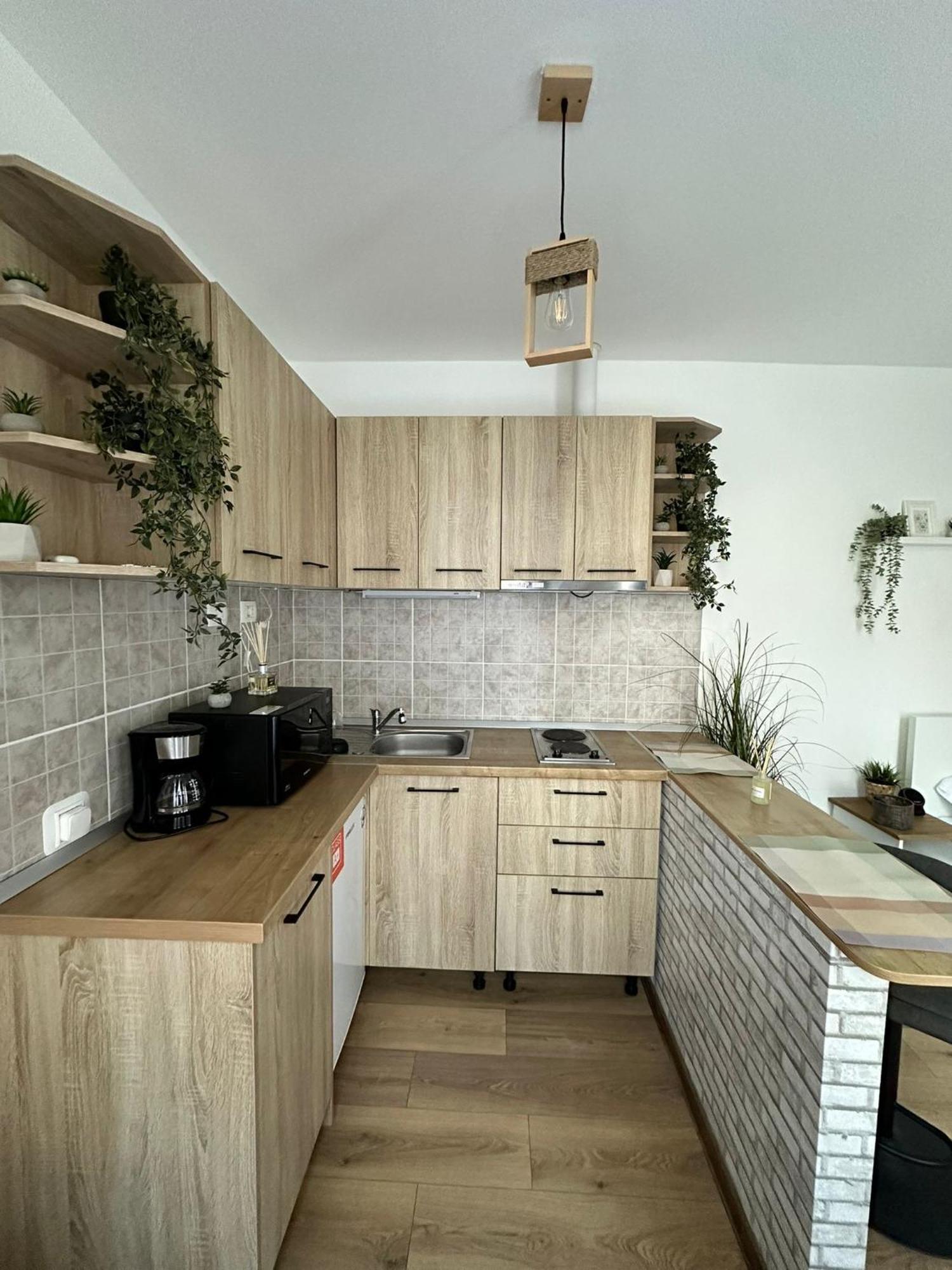 Zen Studio Brassó Kültér fotó