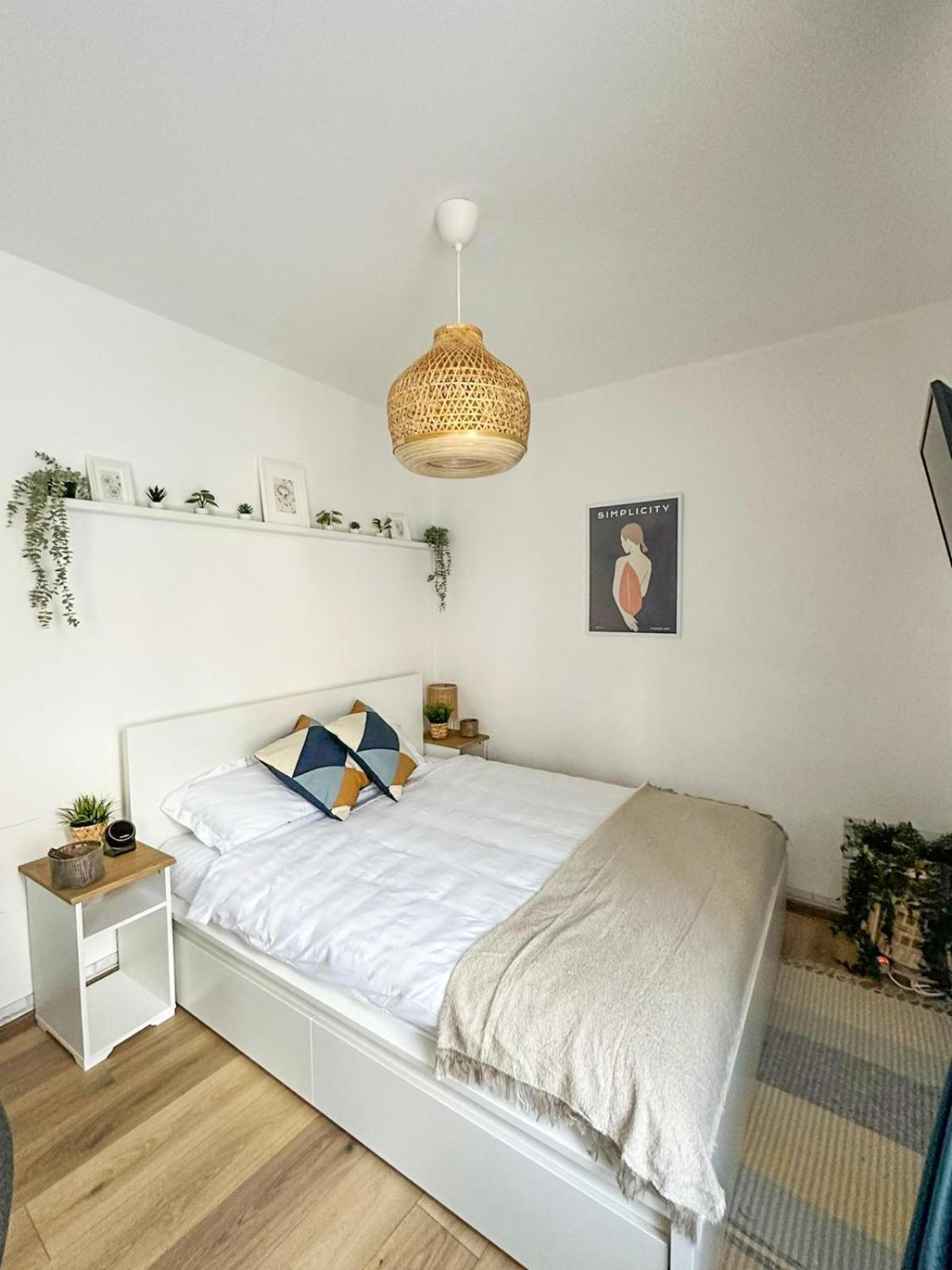 Zen Studio Brassó Kültér fotó